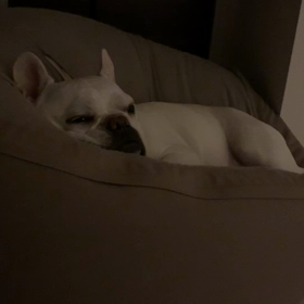 いびきの共鳴の画像