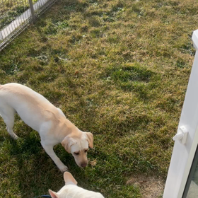 外に出たら…の画像