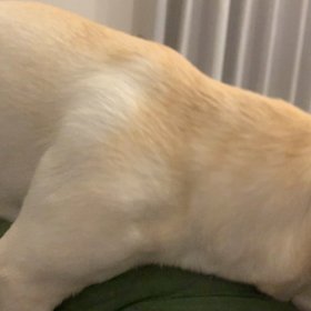 となりで不穏な動きが…笑の画像