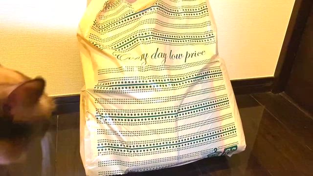 服のタカハシで暖パンなど購入！激安！の記事動画