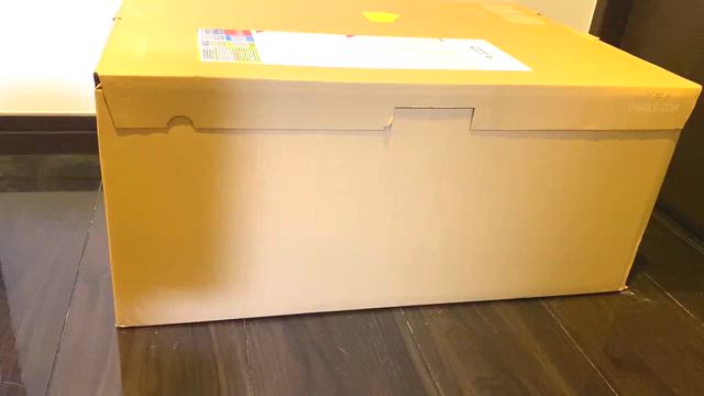 GUロクコラボ追加で爆買い！の記事動画