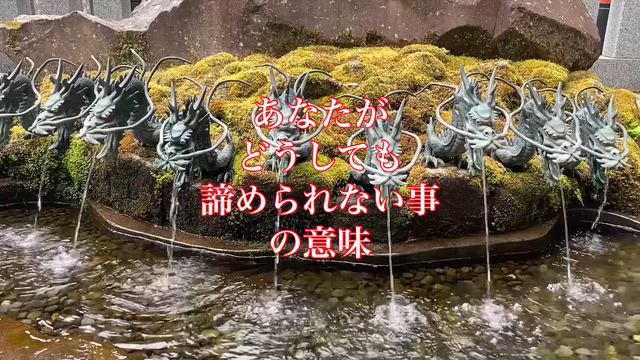 貴方がどうしても諦められない事の意味の記事動画