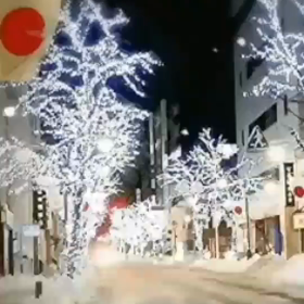 どうも土曜日の競馬は天気⛄の影響がでるかも知れないの画像
