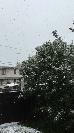 雪！の記事動画