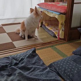 しんどいねぇの画像