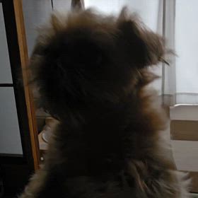 遊んでの時はの画像