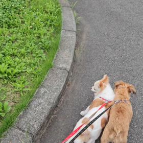 相変わらずの…の画像