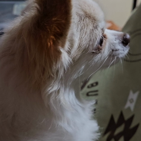 せつなくての画像