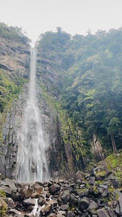 熊野古道～伊勢神宮 自然と食を満喫した旅 ③の記事動画