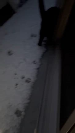 雪〜〜〜の記事動画