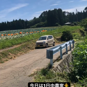 【58】たまに農家になります♂️の画像