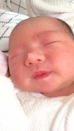 2024/02/28の記事動画
