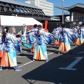 動画はの画像