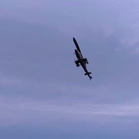 短い動画はの画像