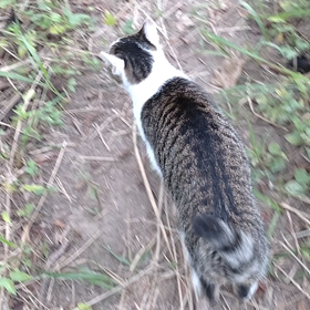 さぁ、帰るよの画像