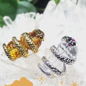 ✨蛇・真鍮パーツ✨の画像