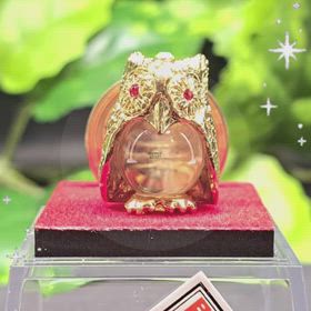 ✨冠ふくろう　置物✨の画像