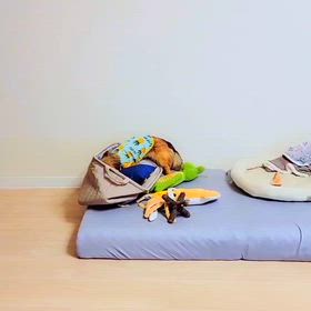 隠しましょ~~~！の画像