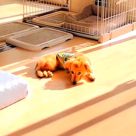 そこまで言うなら~~~の画像