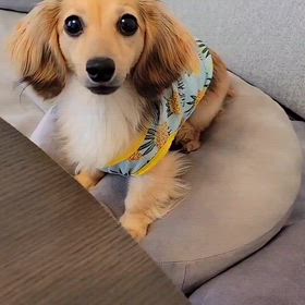 ふっくんの日々是好日 布川敏和オフィシャルブログ