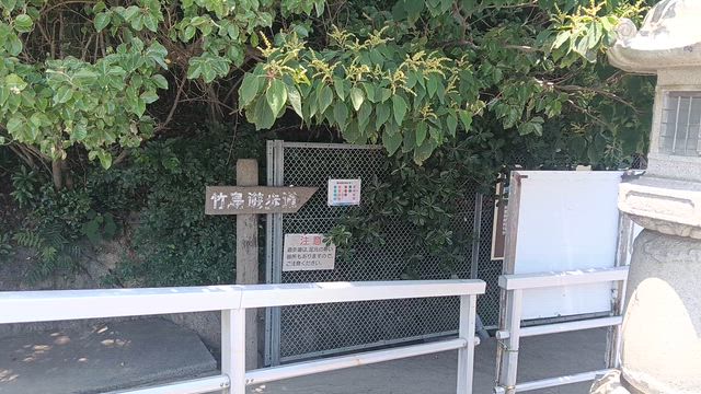 今朝は故郷の神と子どもたちの歓声に清められましたの記事動画