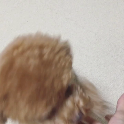ツンデレ   ☺︎動画ですの記事動画