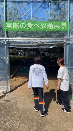8月19日20日の富岳園はの記事動画