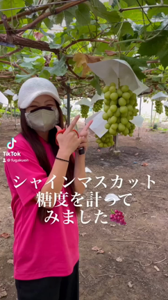 2023年の閉園日の記事動画