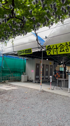８月２７日の富岳園の記事動画