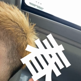 休みの画像