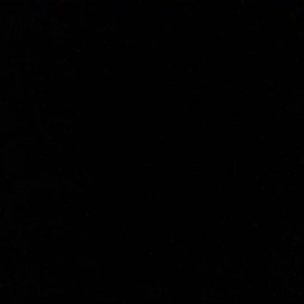 あなたに届けます♪の画像