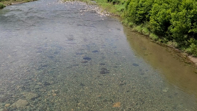 桧木内川　河川情報　の記事動画