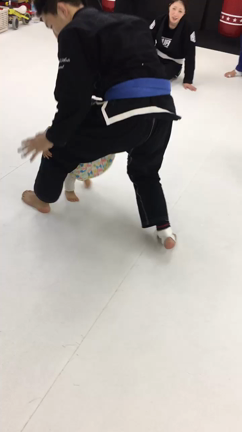 さくちゃん腕十字の記事動画