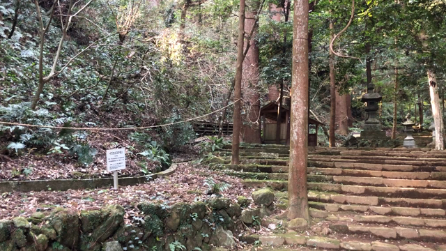 神さまがいらっしゃることを肌で感じる聖地です。伊豆高原　八幡来宮神社の記事動画