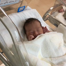 銀ちゃん  初めましての画像