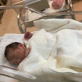 初めまして…銀ちゃんの画像