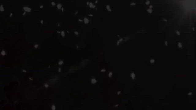 Bloomの記事動画