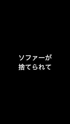 いよいよ明日、バンクーバーへ出発します！✨ 怒涛の1ヶ月と感謝の記事動画
