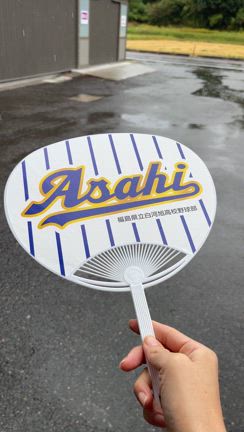 さあ、うちわシーズン！の記事動画