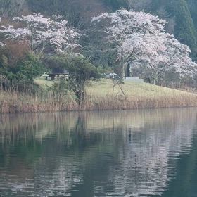 田貫湖にての画像
