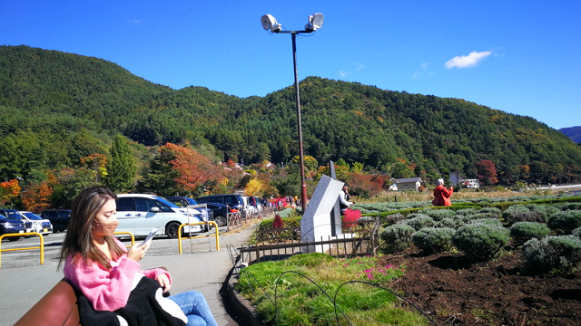 ”快晴〜大石公園からコキアと富士山”の記事動画