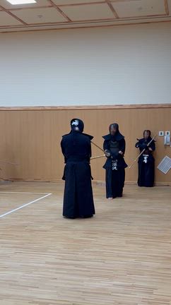 剣の道の記事動画
