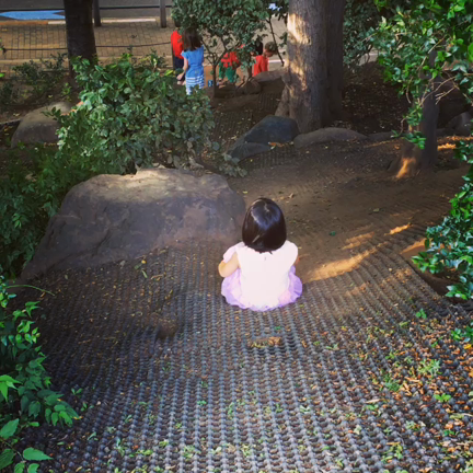 映画と公園の記事動画