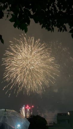 くじら祭りの記事動画