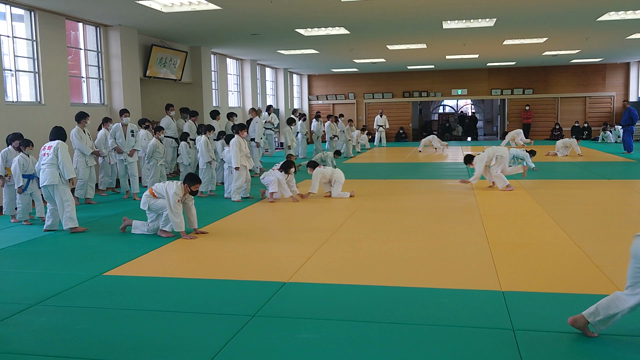 第502回の記事動画