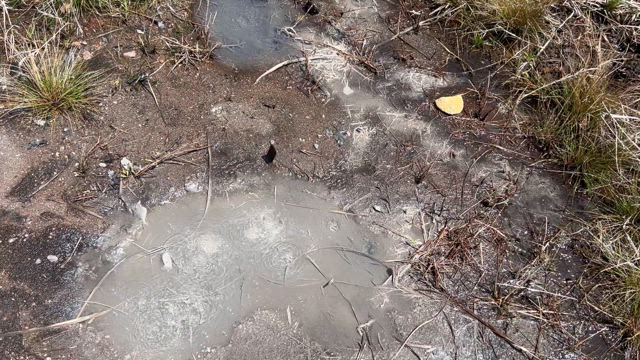 【熊本】緑な熊本が見たくて、春の熊本旅行　～1日目：九重からの阿蘇～の記事動画