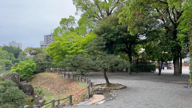 【熊本】緑な熊本が見たくて、春の熊本旅行　～2日目：楽しいたまご屋さんと渓谷～の記事動画
