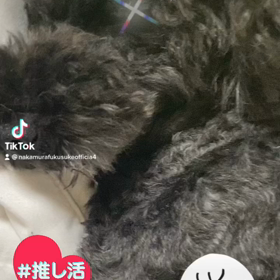 2022/11/25の画像