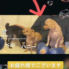 2023/01/03の画像
