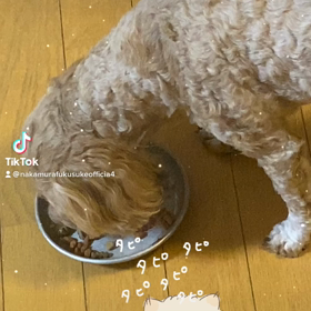 2023/01/11の画像